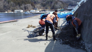漁港清掃