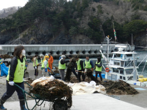 仮宿漁港の清掃