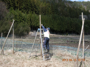 鹿よけネット設置作業