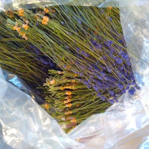 20160622 herb 1